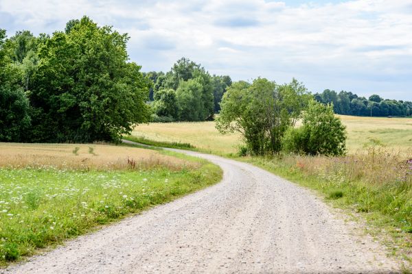 Stone Driveway Repair in Lebanon