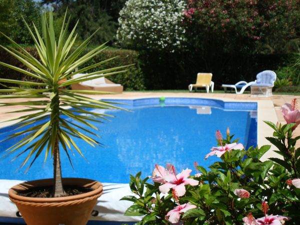 Cost of Pool Terrace Renovation in Lebanon